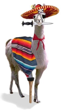 llamaPirate.jpg